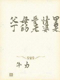 父母爱情里面老丁的老婆是哪个演的