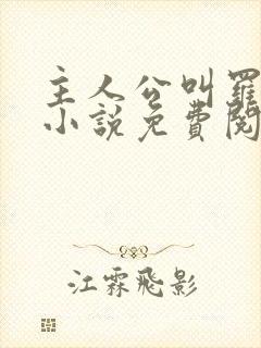 主人公叫罗铮的小说免费阅读笔趣阁