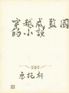 穿越成监国太子的小说