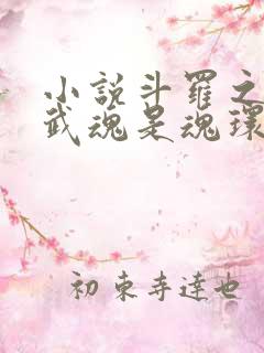 小说斗罗之我的武魂是魂环下载