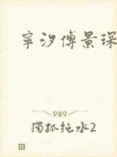 宁汐傅景琛小说