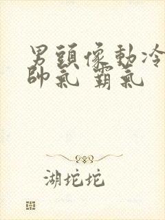 男头像动冷酷 帅气 霸气