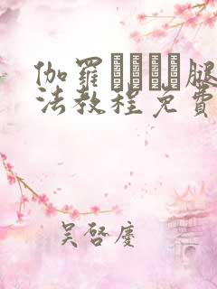 伽罗ちゃんが腿法教程免费