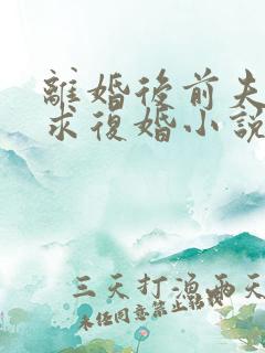 离婚后前夫哭着求复婚小说完整下载