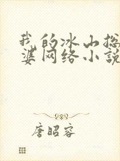 我的冰山总裁老婆网络小说