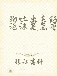 狗吐出来的白色泡沫是怎么回事?