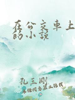 在公交车上被插的小说