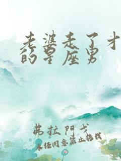 老婆走了才后悔的星座男