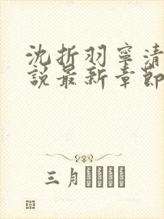 沈折羽宁清玄小说最新章节