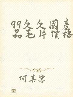 99久久国产精品毛片价格