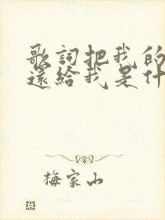 歌词把我的爱情还给我是什么歌