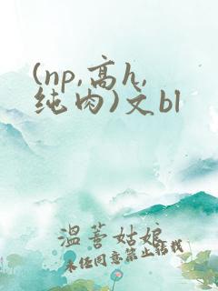 (np,高h,纯肉)文bl
