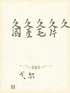 久久久久久精品国产毛片