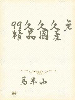 99久久久免费精品国产