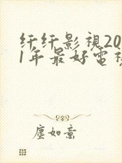 纤纤影视2021年最好电视剧功