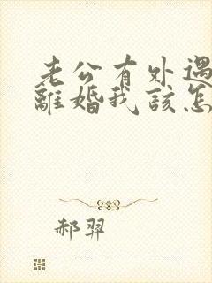 老公有外遇提出离婚我该怎么办