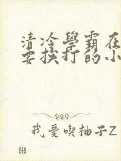 清冷学霸在家还要挨打的小说