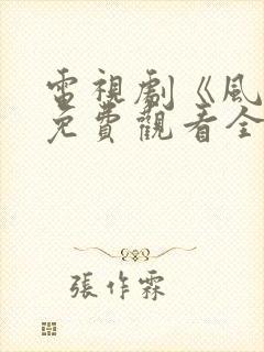 电视剧《风云》免费观看全集