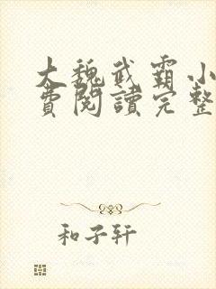 大魏武霸小说免费阅读完整版