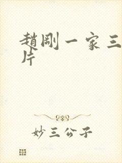 赵刚一家三口照片