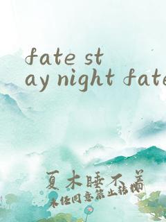 fate stay night fate线