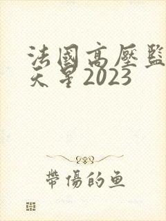 法国高压监狱满天星2023