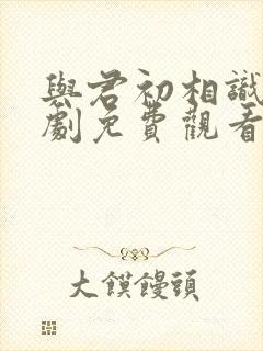 与君初相识电视剧免费观看下载