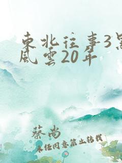 东北往事3黑道风云20年