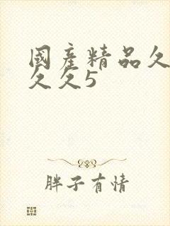 国产精品久久久久久5