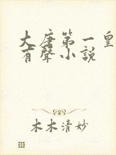 大唐第一皇太子有声小说