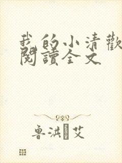 我的小清欢在线阅读全文