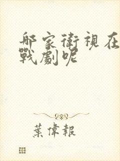 哪家卫视在播谍战剧呢