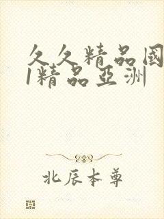 久久精品国产91精品亚洲