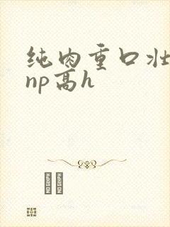 纯肉重口壮汉受np高h