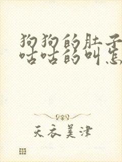 狗狗的肚子一直咕咕的叫怎么办