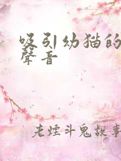 吸引幼猫的猫叫声音