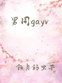 男同gayv