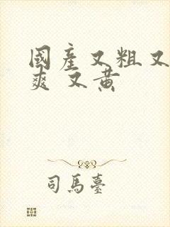 国产又粗又猛又爽 又黄