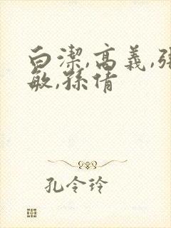 白洁,高义,张敏,孙倩