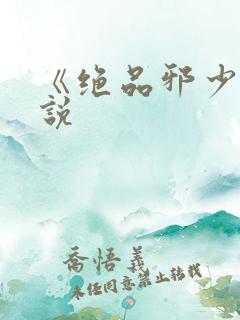 《绝品邪少》小说
