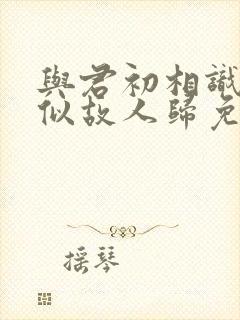 与君初相识,恰似故人归免费观看