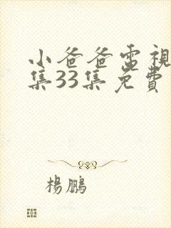 小爸爸电视剧全集33集免费