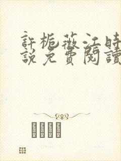 许栀薇江时宴小说免费阅读最新章节