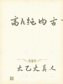 高h纯肉古言