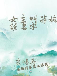 女主叫蒋婉的小说名字