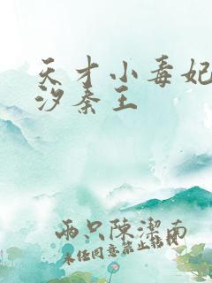 天才小毒妃韩芸汐秦王