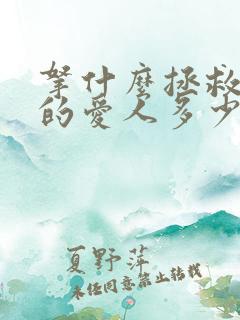 拿什么拯救你我的爱人多少集