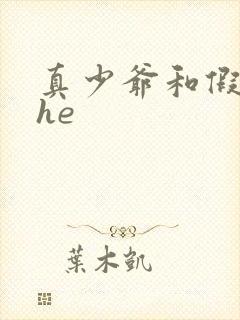 真少爷和假少爷he