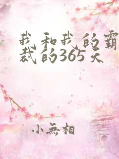 我和我的霸道总裁的365天