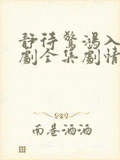 静待惊鸿入瓮短剧全集剧情简介